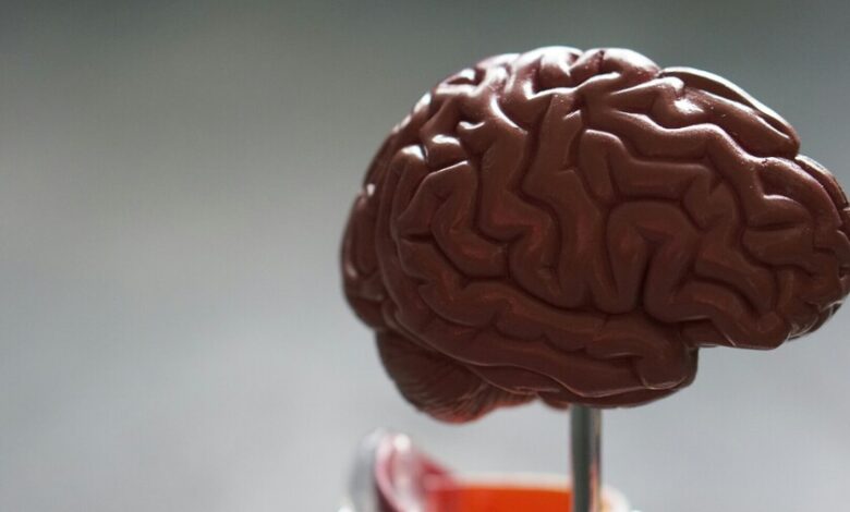Imágenes del cerebro con alzhéimer y la enzima cPLA2