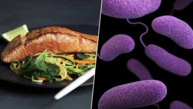 La importancia de la hora de cenar para la salud de nuestra microbiota