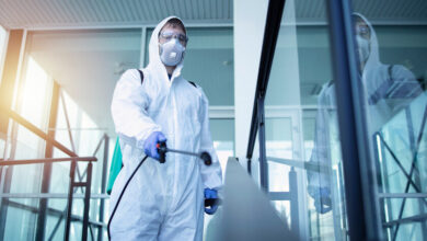 Imagen de un roedor infectado con hantavirus