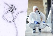 Equipo de salud luchando contra el ébola