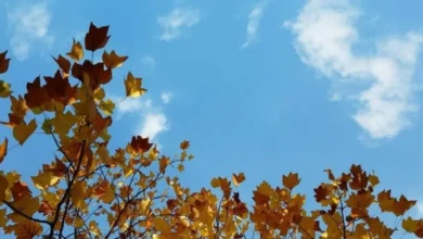 Imágenes de la ciudad de Córdoba con cielos despejados y personas disfrutando del fin de semana