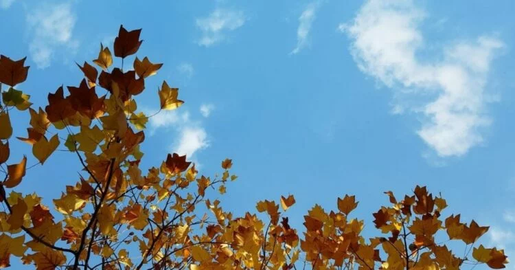 Imágenes de la ciudad de Córdoba con cielos despejados y personas disfrutando del fin de semana