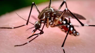 Mapa de la provincia de Córdoba con áreas de brote de dengue