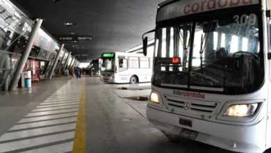 Imagen de un autobús en Córdoba