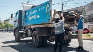 Imagen de un mosquito Aedes aegypti, transmisor del dengue