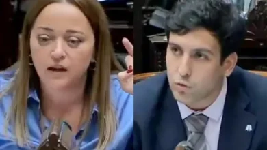 Cecilia Moreau corrigiendo a un diputado en la Cámara de Diputados