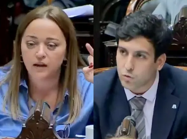 Cecilia Moreau corrigiendo a un diputado en la Cámara de Diputados