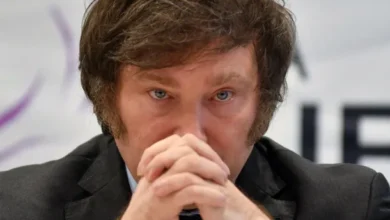 Gráfico que muestra la caída en la popularidad de Javier Milei