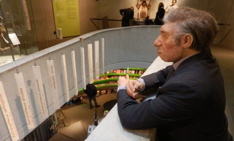 Ilustración de un neandertal y un homo sapiens interactuando