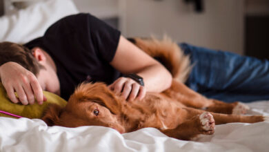 Persona acostada con su perro en la cama