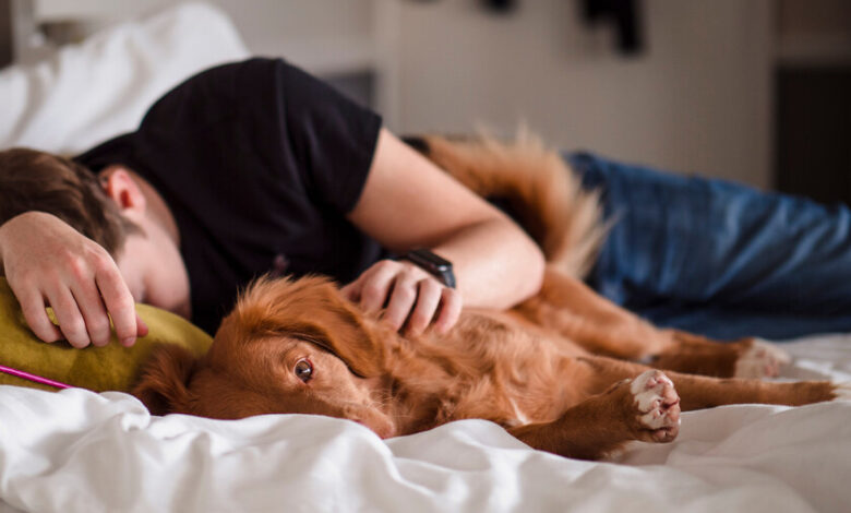 Persona acostada con su perro en la cama