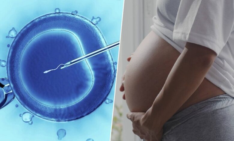 Ilustración de una célula en división, representando la meiosis