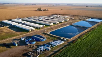 Planta de biogás en General Cabrera, Córdoba, que recibió la primera certificación de créditos de carbono en la provincia