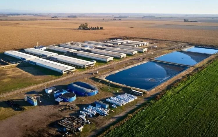 Planta de biogás en General Cabrera, Córdoba, que recibió la primera certificación de créditos de carbono en la provincia