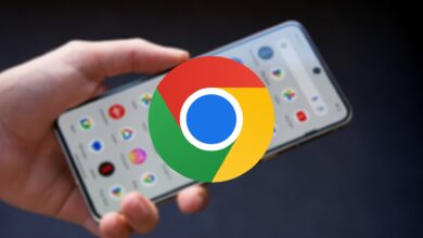 Google Chrome rellenar formularios en línea