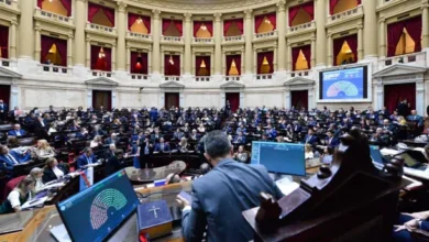 Sesión especial en Diputados para debatir el Súper RIGI