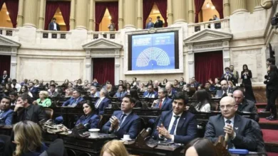 Diputados votan en la Cámara de Diputados