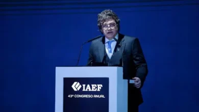 Javier Milei durante su exposición en el Congreso del Instituto Argentino de Ejecutivos de Finanzas