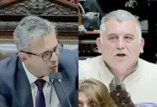 Imágenes de Martín Menem y Mario Manrique durante el enfrentamiento en Diputados