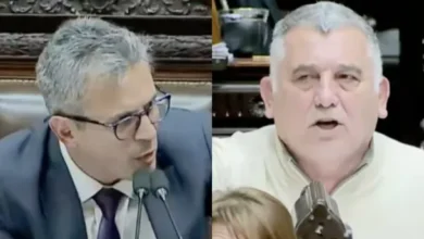 Imágenes de Martín Menem y Mario Manrique durante el enfrentamiento en Diputados