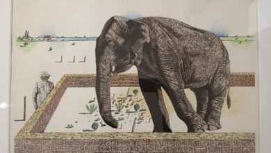 Imagen de la exposición Bestiario en el Centro de Arte Contemporáneo Chateau