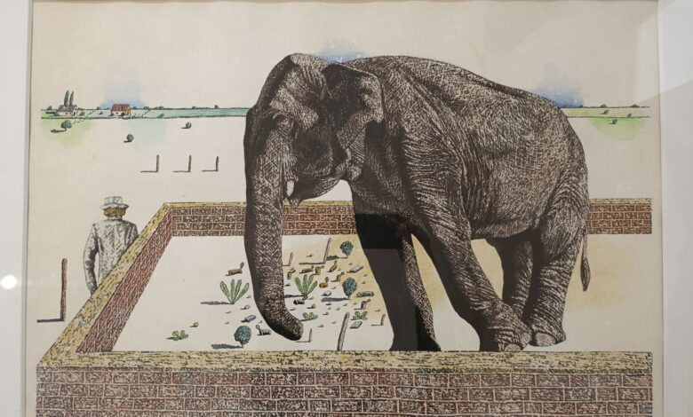Imagen de la exposición Bestiario en el Centro de Arte Contemporáneo Chateau