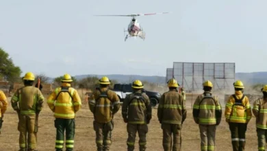 Incendio forestal en una zona rural de Córdoba