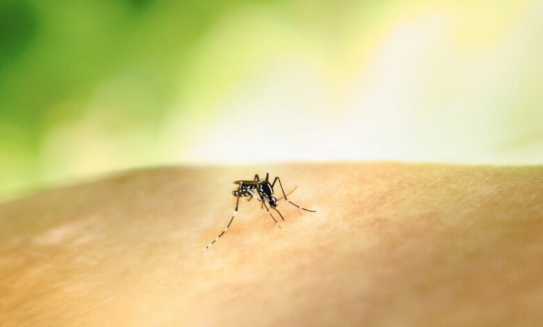 Repelente para mosquitos con DEET