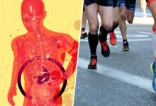 La ciencia del dopaje fecal: ¿puede mejorar la resistencia física?