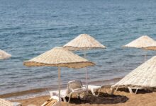 Persona bajo una sombrilla de playa con protector solar
