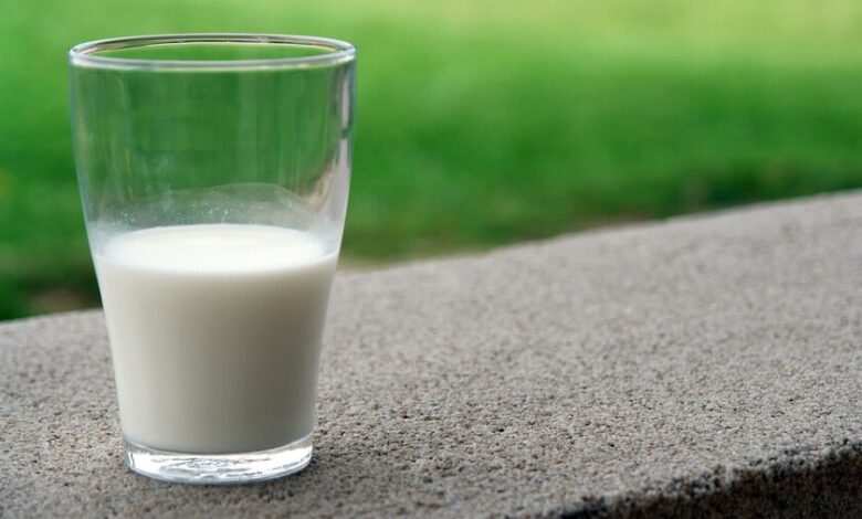 Imagen de una taza de leche con un texto que dice 'Leche saludable para adultos'