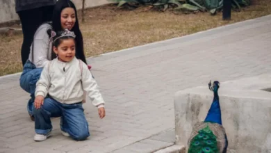 Familia disfrutando en el Parque de la Biodiversidad