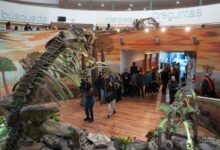 Visita al Museo Provincial de Ciencias Naturales en Córdoba