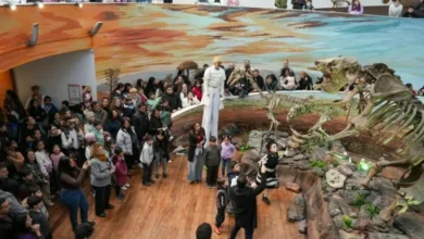 Museo de Ciencias Naturales de Córdoba con acceso gratuito