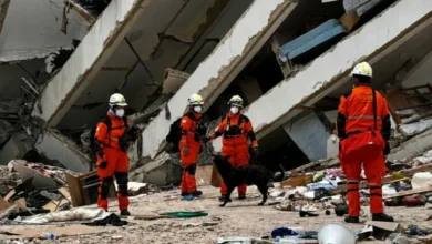 Brigadistas cordobeses trabajando en la zona afectada por el terremoto en Venezuela