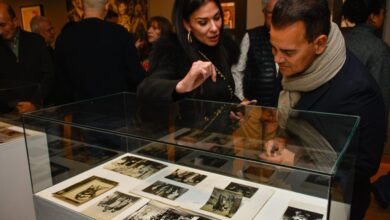 Museo Evita Palacio Ferreyra - Exposición Fuerza Natural