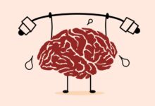 Imagen que muestra la molécula de creatina y su efecto en el cerebro