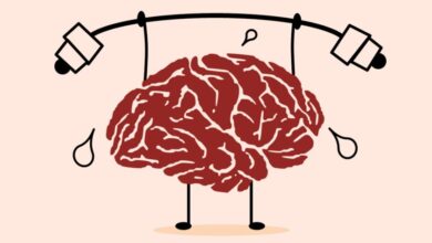 Imagen que muestra la molécula de creatina y su efecto en el cerebro