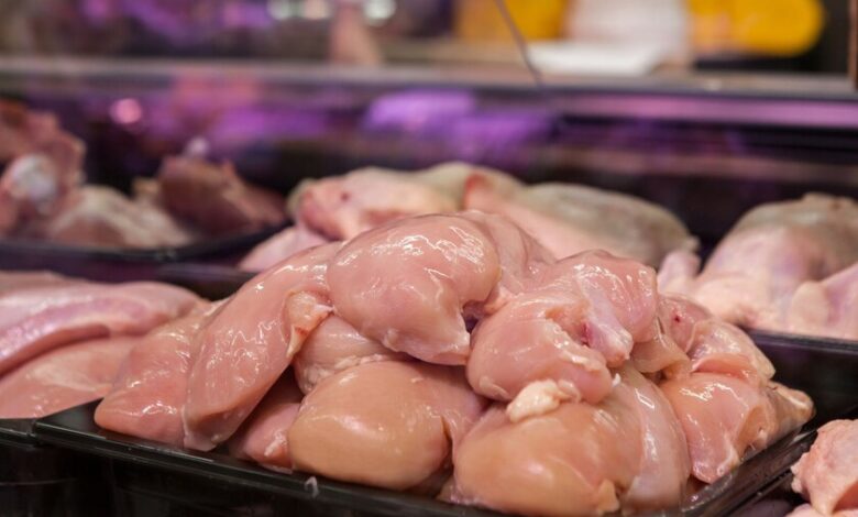 Imagen de un pollo amarillo en una granja