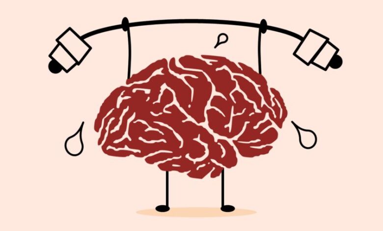 Ilustración de los efectos de la creatina en el cerebro y la energía neuronal