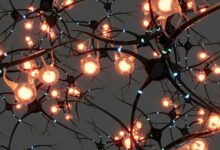 Ilustración de una red de neuronas en el cerebro