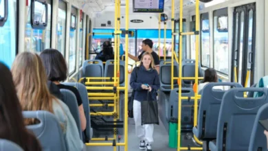 Imagen de un autobús urbano en Córdoba