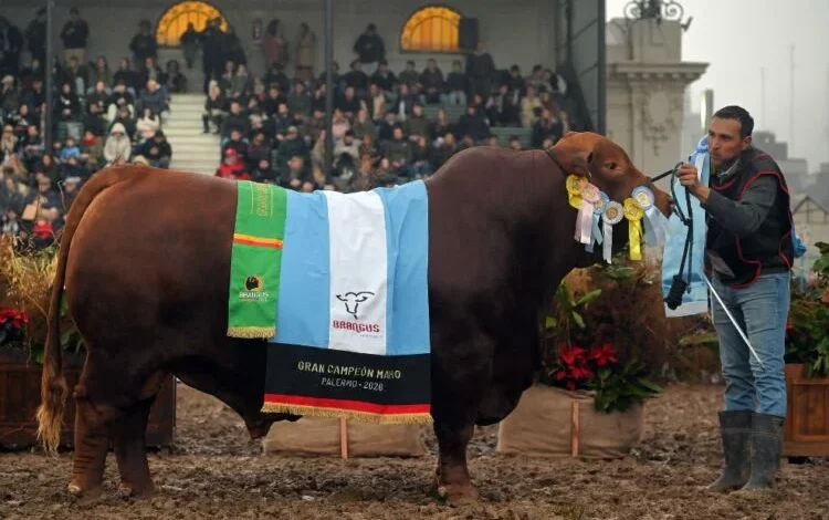 Cabañas cordobesas reciben reconocimientos en la Exposición Rural de Palermo