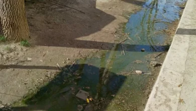 Imagen de aguas servidas en el ingreso de una escuela