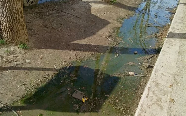 Imagen de aguas servidas en el ingreso de una escuela