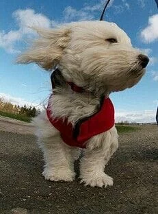 Cielo nublado y viento del noreste sobre la ciudad de Córdoba, lunes 24 de agosto