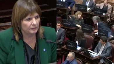 Patricia Bullrich en el Senado