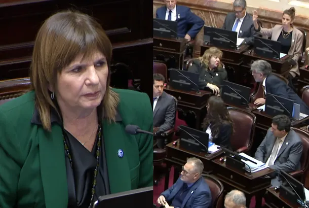 Patricia Bullrich en el Senado