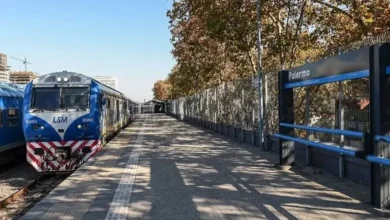 Tren San Martín en una estación