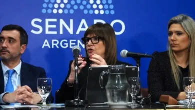 Imágenes de Patricia Bullrich durante una sesión en el Senado, destacando su papel en las negociaciones sobre la Ley de Tierras.